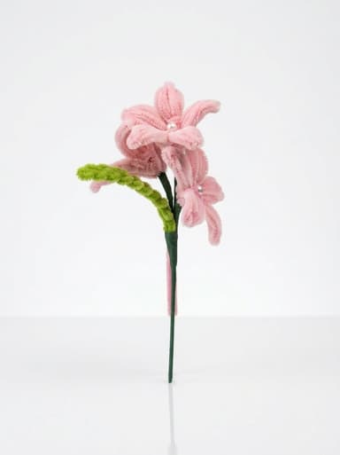 Enchanted Pearl Lily in Soft Peony