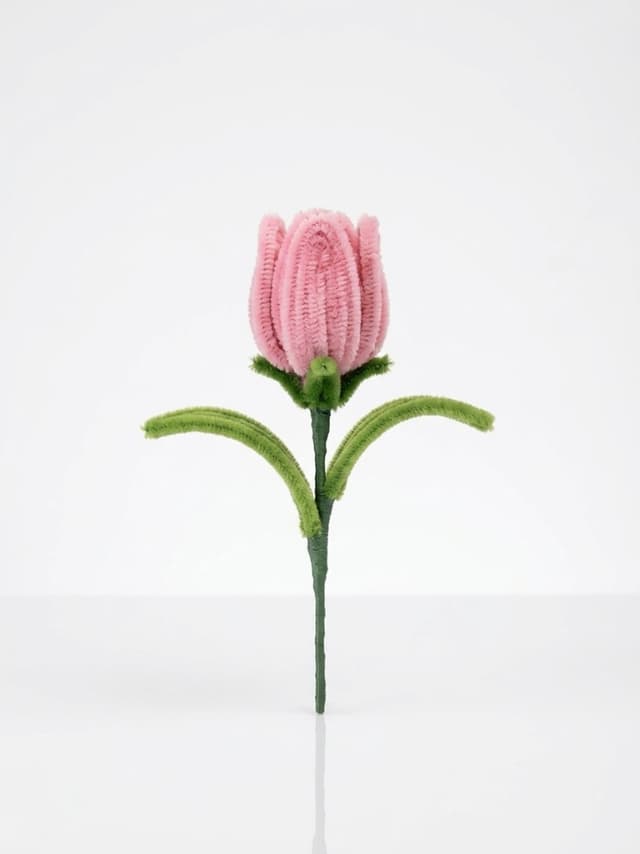 Sunday Morning Tulip